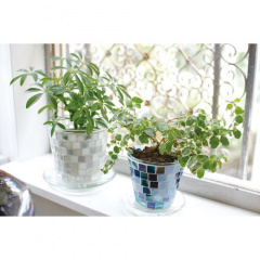ポット｜KALEIDO PLANT POT 3号 ＊2022年6月価格改定