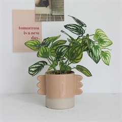 【neulo】フェイクグリーンハンドルポットbrown(フェイクグリーンハンドルポットbrown)