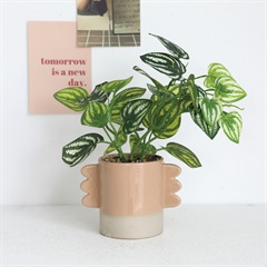 【neulo】フェイクグリーンハンドルポットbrown