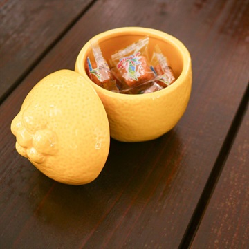 【BOLTZE】 Limone strage canister 小物入れ