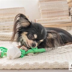 お花シリーズ バラ おもちゃ(白いバラ)