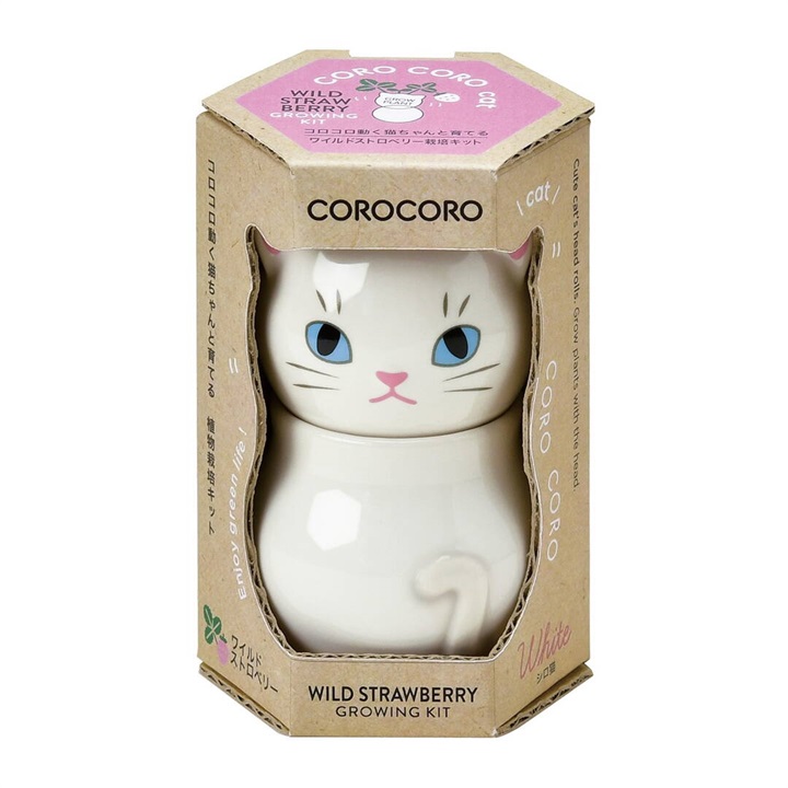 COROCORO cat 栽培キット(ワイルドストロベリー)