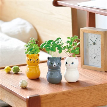 COROCORO cat 栽培キット