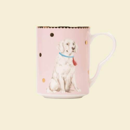 YVONNE ELLENの画像