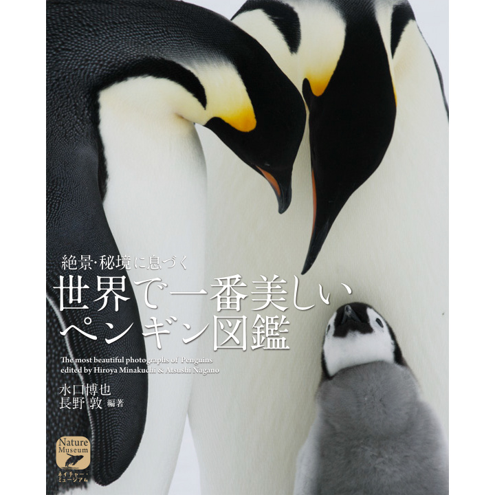 図鑑｜ネイチャー・ミュージアム 世界で一番美しい ペンギン図鑑 【日本製】