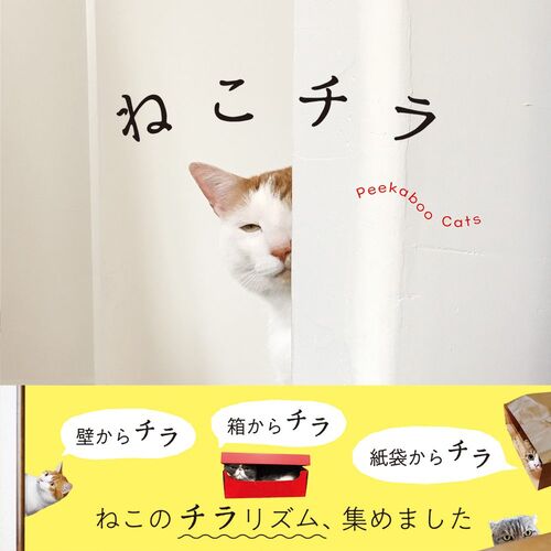 写真集｜ねこチラ 【日本製】