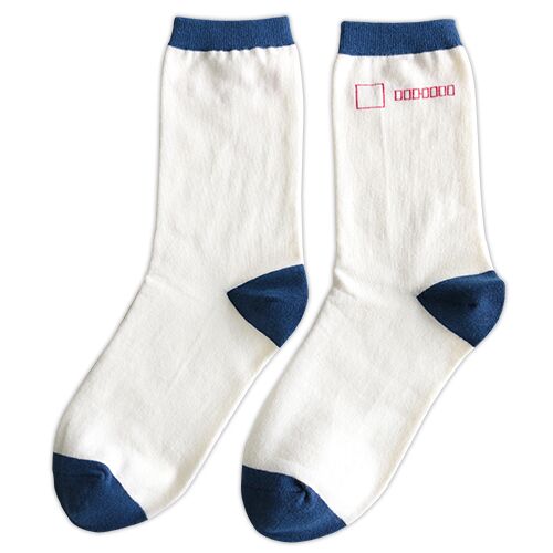 【garapagosocks】　靴下H