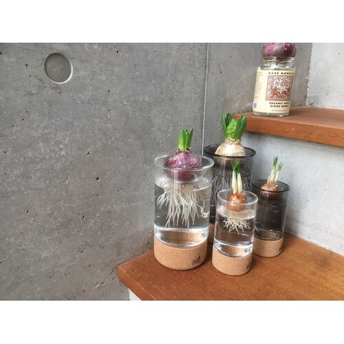 ポット｜ミニ SOAK HYDROPONICS POT