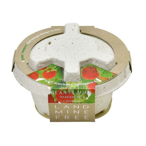 栽培セット PLANTS MINE