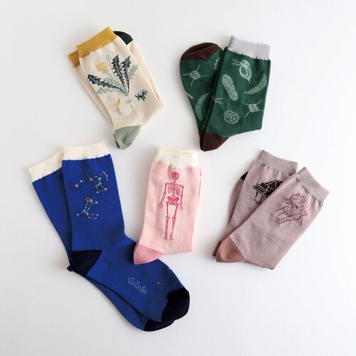 【garapagosocks】靴下Q