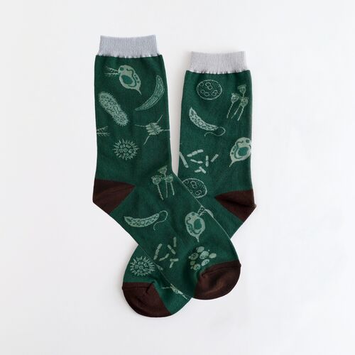 【garapagosocks】靴下Q