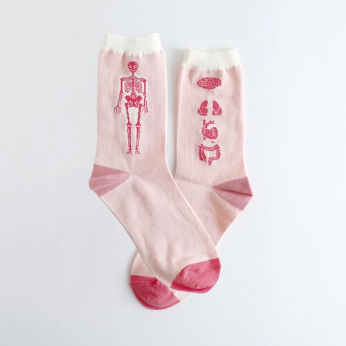 【garapagosocks】靴下Q