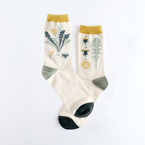 【garapagosocks】靴下Q