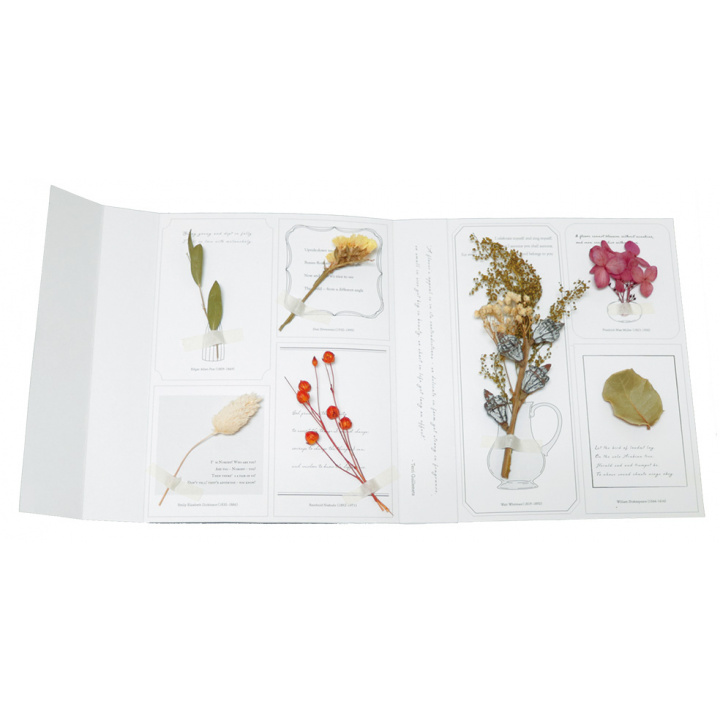 ドライフラワー Dry Flower Garland Book(Botanical Garden)