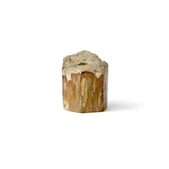 【amabro】 ．＆％＄＋！＊％，ストーンペンスタンド(Wood Natural)