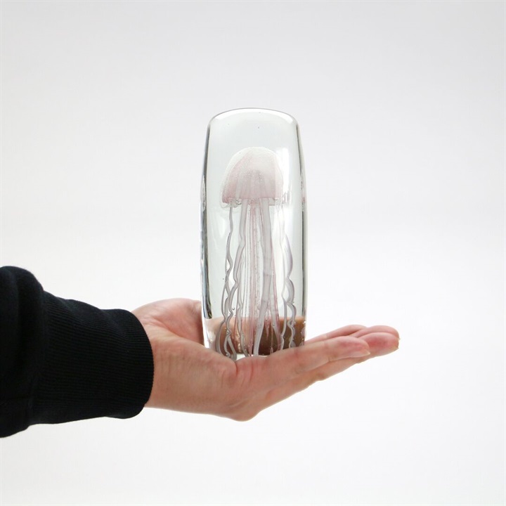 【HERE by DETAIL】JELLYFISH TWISTED LEG Tall