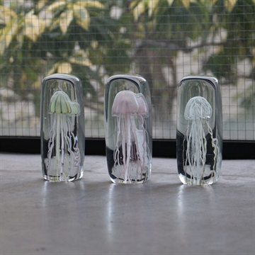 【HERE by DETAIL】JELLYFISH TWISTED LEG Tall