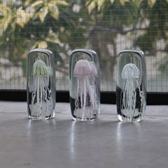 【HERE by DETAIL】JELLYFISH TWISTED LEG Tall