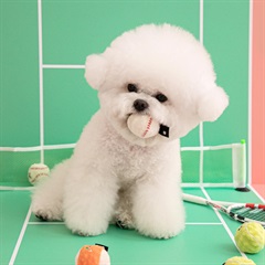 ミニスポーツボールおもちゃセット（3個入り）