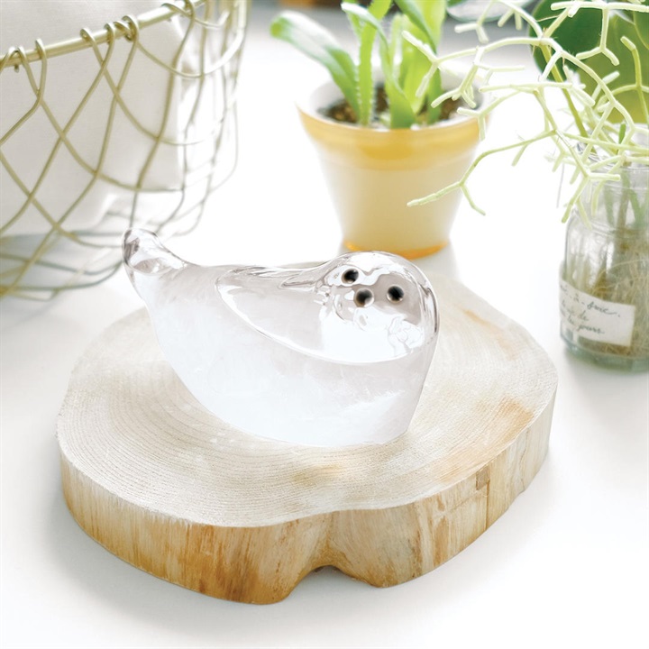 Storm Glass アザラシ｜てんとてん｜インテリア雑貨・食器