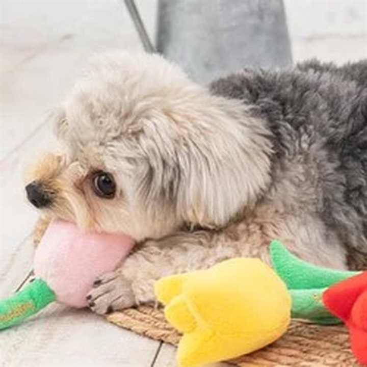 お花シリーズ チューリップ おもちゃ