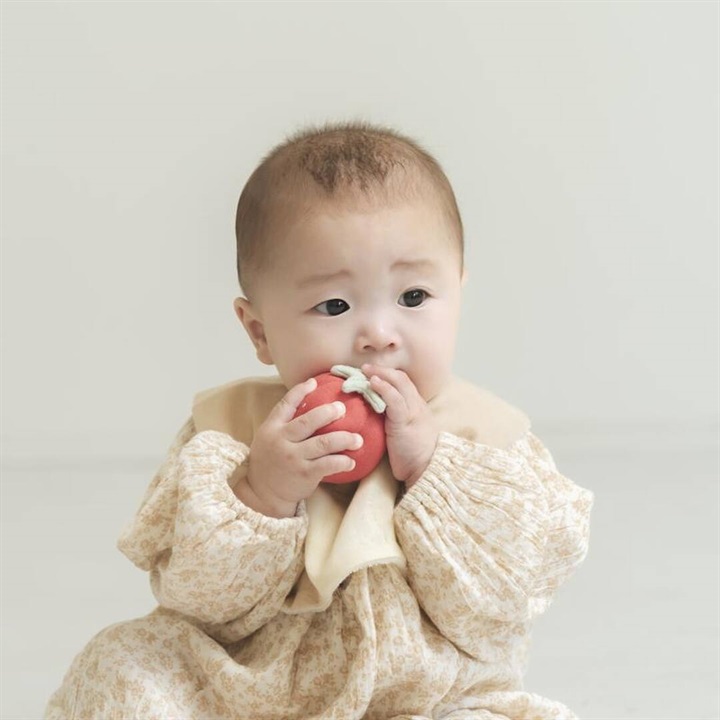 【Lien de famille】イチゴのラトル