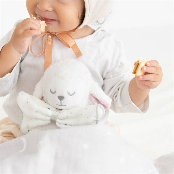 【Lien de famille】シープボアぬいぐるみ＆ハンカチセット