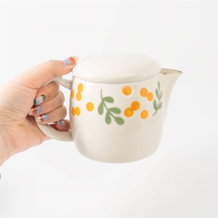 Hanamoe 波佐見焼ポット 500ml(OW)