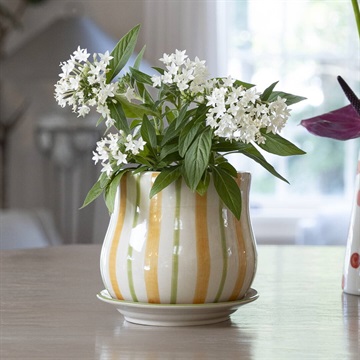 キャンディーフラワーポットA