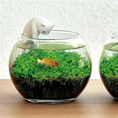 じゃれ猫水草鉢(白)