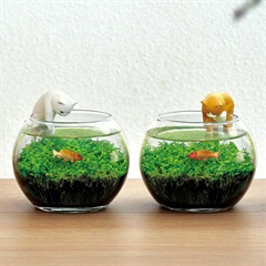 じゃれ猫水草鉢