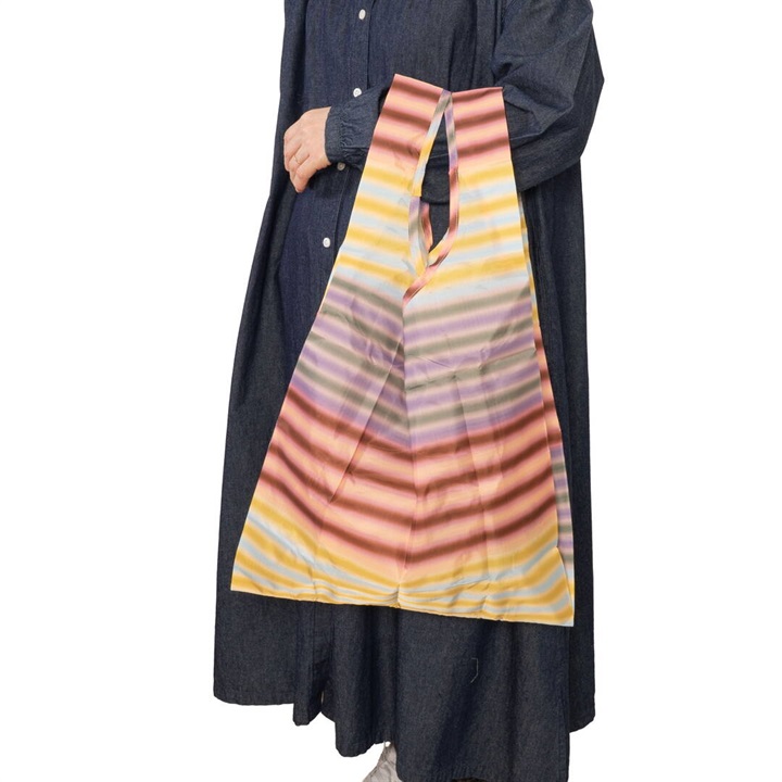 【BAGGU】STANDARD BAGGU グラデーションストライプ