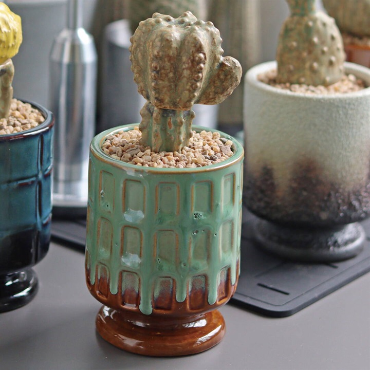 【POST GENERAL】THE CACTI POT ザ カクティポット(ASTROPHYTUM)