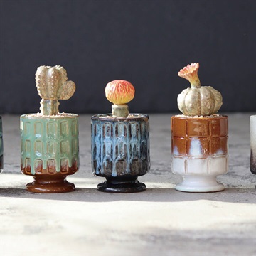 【POST GENERAL】THE CACTI POT ザ カクティポット