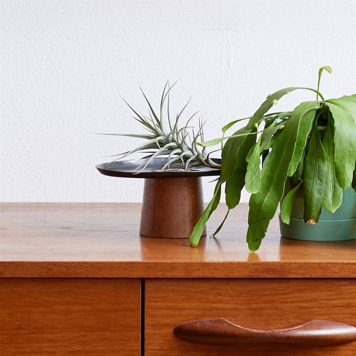 shesay】木とアイアンのコンポート台 オーバル｜てんとてん