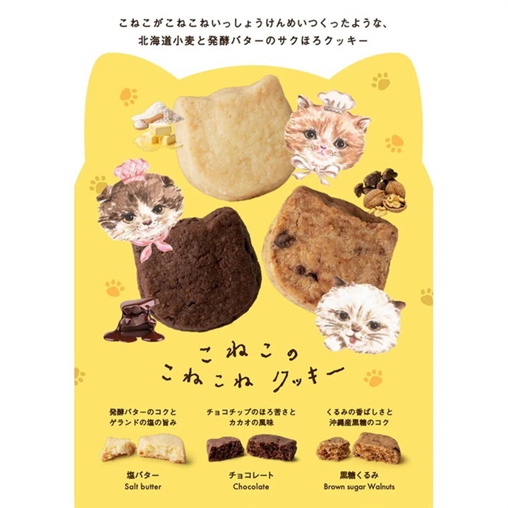 DADACA】こねこのこねこねクッキー チョコレート 丸缶｜てんと
